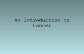 An Introduction to Cancer. 1.Heart Diseases685,089 28.0 2.Cancer556,902 22.7 3.Cerebrovascular diseases157,689 6.4 4.Chronic lower respiratory diseases126,382.