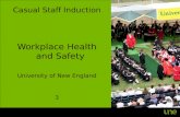 Workplace Health and Safety University of New England 3 Casual Staff Induction.