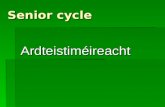 Senior cycle Ardteistiméireacht. Leaving Certificate The following subjects will initially be offered  Irish  English  Mathematics  French  History.