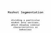 Market Segmentation dividing a particular market into sections, which display similar characteristics or behaviour.
