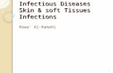 Infectious Diseases Skin & soft Tissues Infections Rowa’ Al-Ramahi 1.