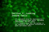 Section 2: Looking Inside Cells 7.1.b Students know the characteristics that distinguish plant cells, including chloroplasts and cell walls. 7.1.c Students.