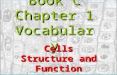 6th grade Chapter 1 Vocabulary Book C Chapter 1 Vocabulary Cells Structure and Function.