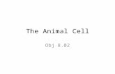 The Animal Cell Obj 8.02. The Cell Body is made up of millions of cells Basic unit of the body and life.