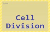STEELE. Mitosis Def: The process of cell division which results in the production of two daughter cells from a single parent cell. The daughter cells.
