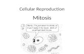 Cellular Reproduction Mitosis. Cell reproduction occurs when parent cells divide. Two new daughter cells arise from each parent cell.