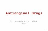 Antianginal Drugs Dr. Kaukab Azim. MBBS, PhD 1. Drug List Nitrates and nitritesBeta BlockersCalcium Channel Blockers Amyl nitrite Nitroglycerine Isosorbide.