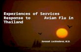 Sorasak Lochindarat, M.D. Experiences of Services Response to Avian Flu in Thailand.