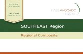SOUTHEAST Region Regional Composite REGIONAL DATA REPORT JAN – MAR 2015 vs. 2014.