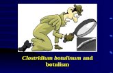 Clostridium botulinum and botulism. Introduction About 900's:  Certain foods caused typical poisoning.  Emperor Leo VI of Byzantium forbade the manufacture.