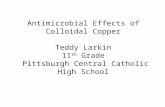 Antimicrobial Effects of Colloidal Copper Teddy Larkin 11 th Grade Pittsburgh Central Catholic High School.