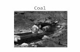 Coal. Coal Facts Most abundant fossil fuel –400 year supply 66% of known coal is located in the U.S. U.S. is 2 nd largest consumer of coal –China is 1.