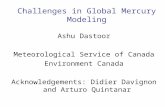 Challenges in Global Mercury Modeling Ashu Dastoor Meteorological Service of Canada Environment Canada Acknowledgements: Didier Davignon and Arturo Quintanar.