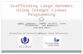 JAMES LINDSAY*, HAMED SALOOTI, ALEX ZELIKOVSKI, ION MANDOIU* ACM-BCB 2012 Scaffolding Large Genomes Using Integer Linear Programming University of Connecticut*Georgia.