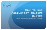 How to use AgarSense™ culture plates …With antibiotic sensitivity testing!