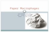 GASTROENTEROLOGY DR. JLER MALHERBE PROF. J VAN ZYL Paper Macrophages.