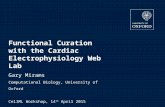 Functional Curation with the Cardiac Electrophysiology Web Lab Gary Mirams Computational Biology, University of Oxford CellML Workshop, 14 th April 2015.