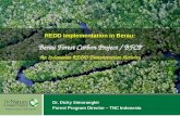A Hope we can believe in Dr. Dicky Simorangkir Forest Program Director – TNC Indonesia REDD Implementation in Berau: Berau Forest Carbon Project / BFCP.