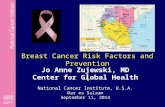 Jo Anne Zujewski, MD Center for Global Health National Cancer Institute, U.S.A. Dar es Salaam September 11, 2014 Breast Cancer Risk Factors and Prevention.