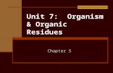Unit 7: Organism & Organic Residues Chapter 5. Objectives Understanding of beneficial & nonbeneficial roles of soil animals Impact of photosynthetic organisms.