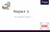 Project 1 User guidance document. Project 1 Key Pillars  Systems Flagging IVR treatment - to agent straight away - Priority No historical data at all.