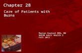 Chapter 28 Care of Patients with Burns Marion Kreisel MSN, RN NU230 Adult Health 2 Fall 2011.