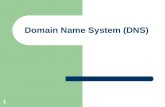1 Domain Name System (DNS). 2 DNS: Domain Name System Internet hosts: – IP address (32 bit) - used for addressing datagrams – “name”, e.g., .