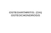 OSTEOARTHRITIS: (OA) OSTEOCHONDROSIS. OSTEOARTHRITIS: (OA) - It's a degenerative process involving the whole joint, but beginning in the articular cartilage.