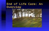 End of Life Care: An Overview. Objectives Address issues surrounding end-of-life care and vulnerable older adults Address issues surrounding end-of-life.