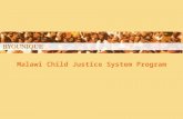 Malawi Child Justice System Program. Content Introduction Objectives Background Project description Planning Organization Costs, revenues and funding.