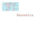 Diuretics. From Knauf & Mutschler Klin. Wochenschr. 1991 69:239-250 70% 20% 5% 4.5% 0.5% Volume 1.5 L/day Urine Na 100 mEq/L Na Excretion 155 mEq/day.