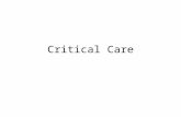 Critical Care. Overview Damage Control Resuscitation from Shock Traumatic Brain Injury Pulmonary System and Ventilators Cardiovascular System Renal System.