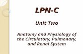 LPN-C Unit Two Anatomy and Physiology of the Circulatory, Pulmonary, and Renal System.