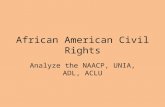 African American Civil Rights Analyze the NAACP, UNIA, ADL, ACLU.