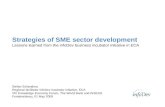 Strategies of SME sector development Lessons learned from the infoDev business incubator initiative in ECA Stefan Schandera Regional facilitator infoDev.