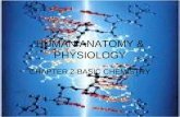 HUMAN ANATOMY & PHYSIOLOGY CHAPTER 2-BASIC CHEMISTRY.