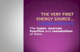 The types, sources, function and metabolism of them…