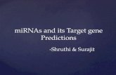 MiRNAs and its Target gene Predictions -Shruthi & Surajit.