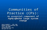 1 Communities of Practice (CPs): An essential component of highly effective large system change Steve Waddell – PhD, MBA Global Action Networks Net (617)