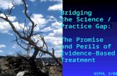 Bridging the Science / Practice Gap: The Promise and Perils of Evidence-Based Treatment WIPHL 3/08.