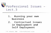 © M. Scheurer, 2002CT218 Professional Issues1 Professional Issues – Lect.3 1. Running your own business 2. Contractual issues in Employment and Self Employment.