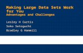 Making Large Data Sets Work for You Advantages and Challenges Lesley H Curtis Soko Setoguchi Bradley G Hammill.