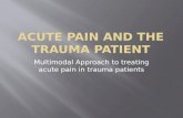 Multimodal Approach to treating acute pain in trauma patients.