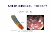 ANTIMICROBIAL THERAPY CHAPTER 13 Copyright © 2012 John Wiley & Sons, Inc. All rights reserved.