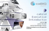 CaGrid Executive Introduction caGrid 1.3 Justin Permar caGrid Knowledge Center  kc.nci.nih.gov/CaGrid/KC.