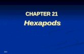21-1 CHAPTER 21 Hexapods Hexapods. Copyright © The McGraw-Hill Companies, Inc. Permission required for reproduction or display. 21-2.