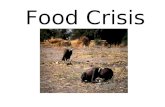 Food Crisis Activity 20.4B Read the following article and Figure 20.16 carefully. According to the Food and Agriculture Organisation’s projection, by.
