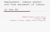 Employment, labour market and free movement of labour in the EU JSM508 European social policy 14 April, 2008 Liudmila, Antonio, Angela, Mirza (Group A2)