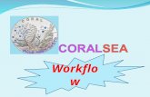 Workflow. The software “CORALSEA“ is a tool to build up the quantitative structure – property / activity relationships (QSPRs/QSARs) The representation.