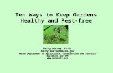 Ten Ways to Keep Gardens Healthy and Pest-free Kathy Murray, Ph.D. Kathy.murray@maine.gov Maine Department of Agriculture, Conservation and Forestry .
